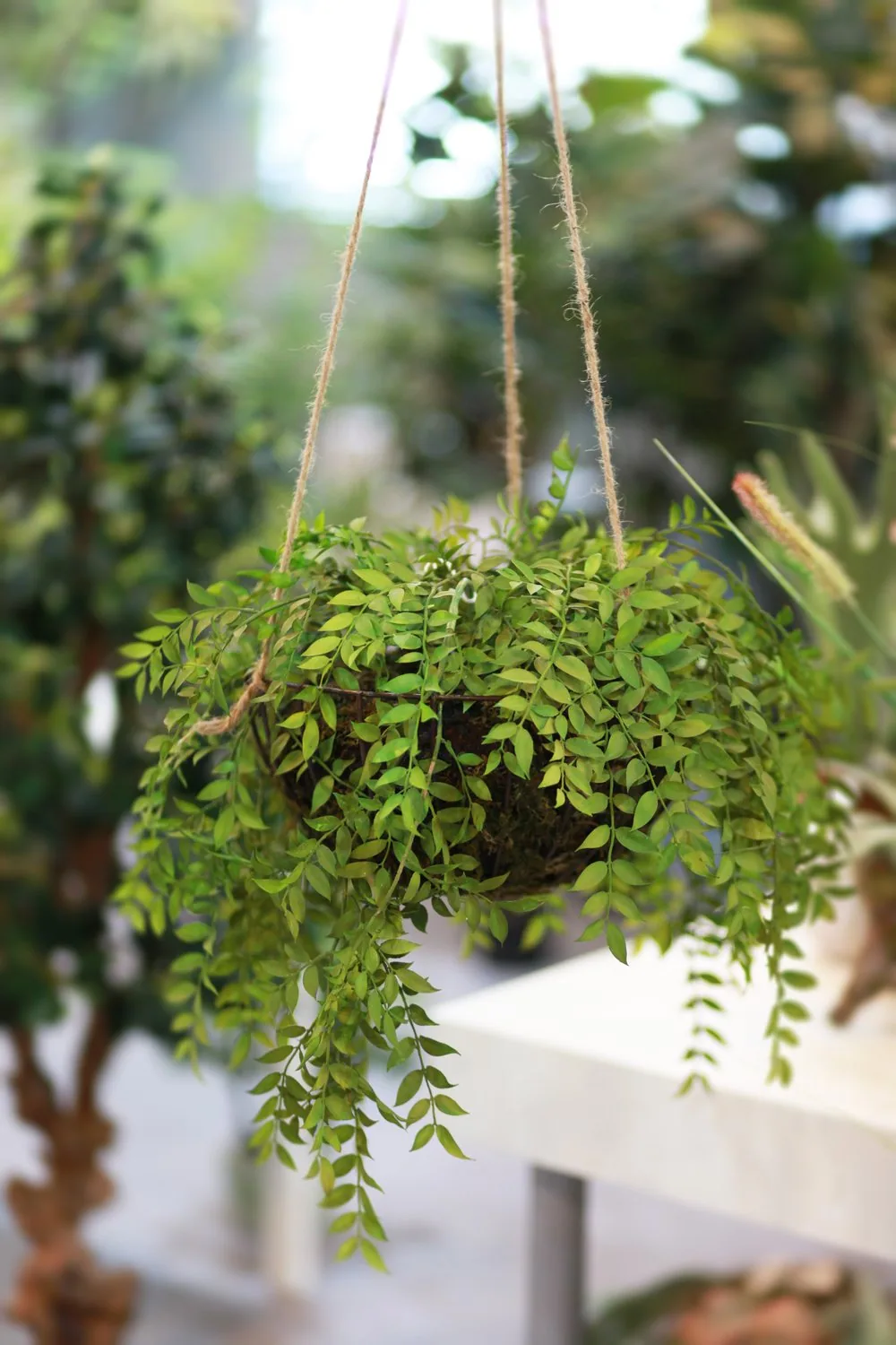 仿真苔玉吊球